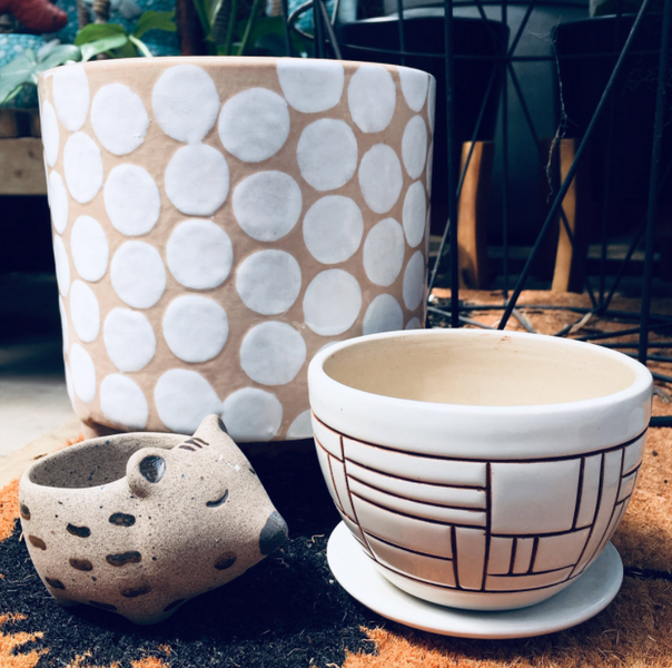 Pots Wombat Gully Plant Farm Geelong